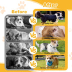 Safe botanical formula for dog yeast dermatitis relief