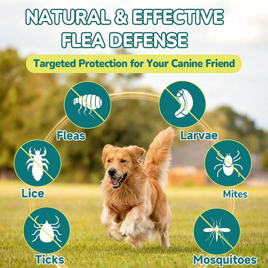 Back label view of Woyamay natural oral flea treatment with clear dosage instructions per pound of body weight.
