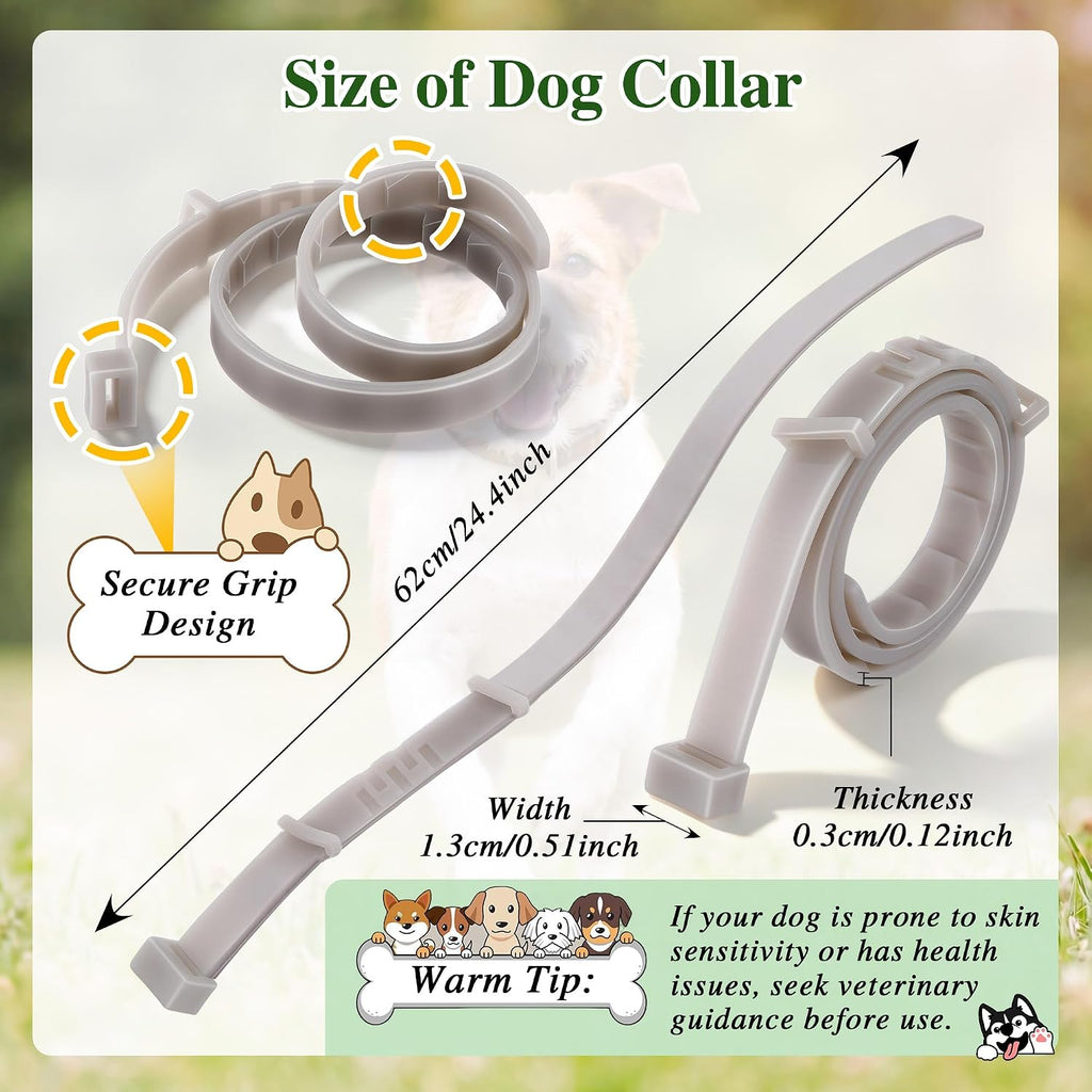 Dog wearing Mysora glow in the dark collar at night
