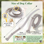 Dog wearing Mysora glow in the dark collar at night