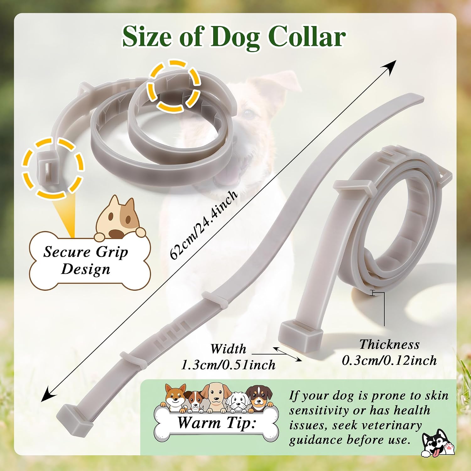 Dog wearing Mysora glow in the dark collar at night