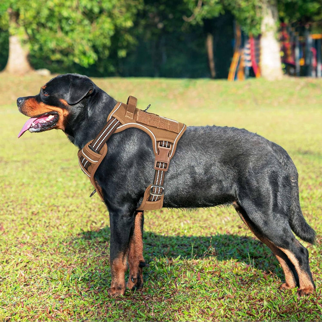 Beebiepet military K9 dog harness side view showing Molle system