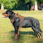 Beebiepet military K9 dog harness side view showing Molle system