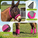 Miniature donkey wearing rose red fly mask with long ear protection on pasture