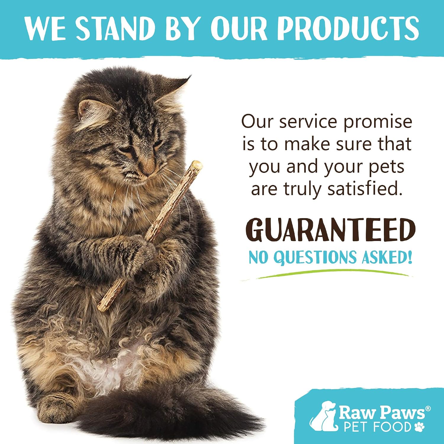 Healthy indoor cat enrichment silvervine sticks