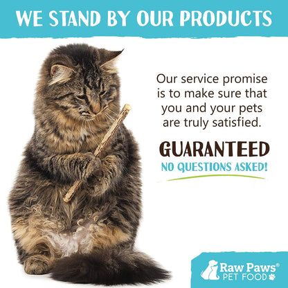 Healthy indoor cat enrichment silvervine sticks