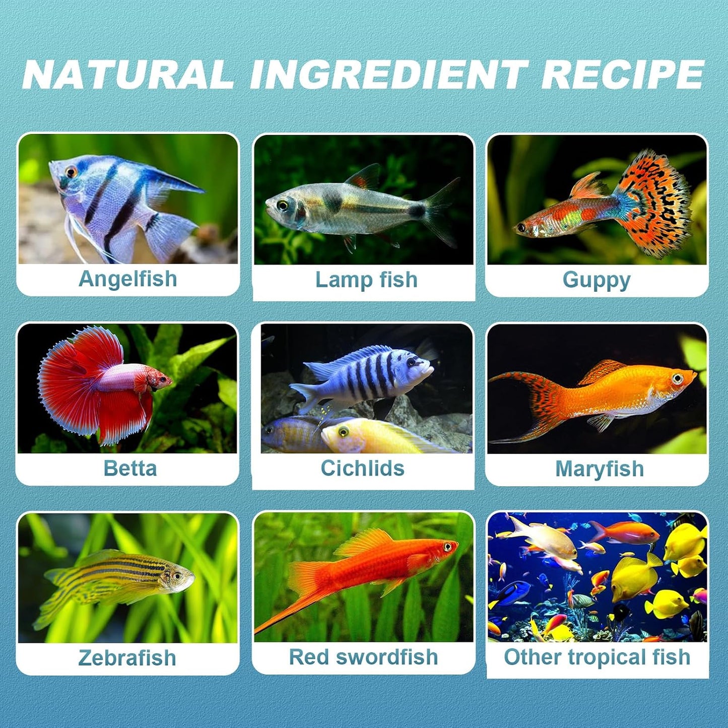 Slow sinking tropical fish flakes with astaxanthin for color