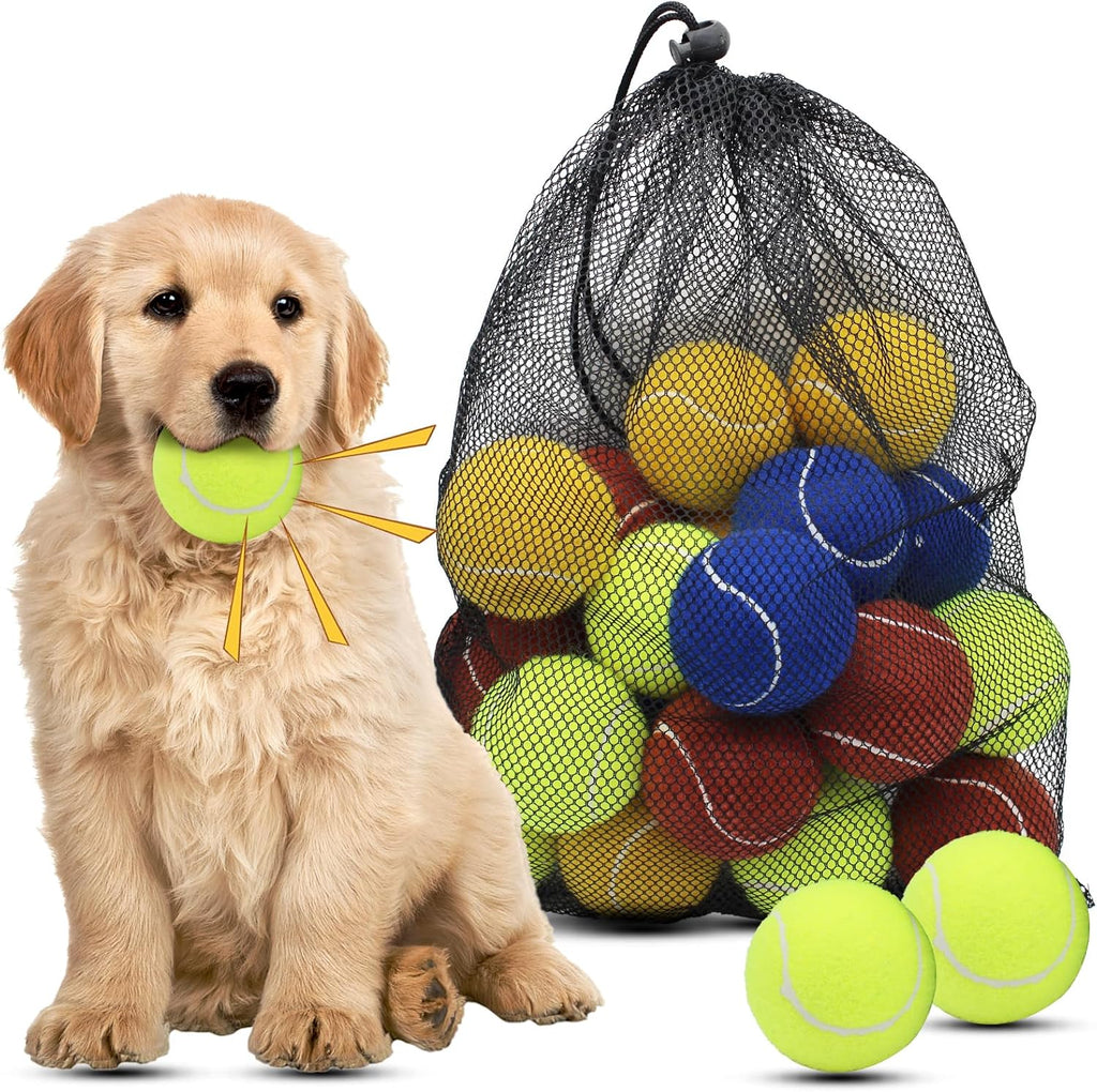 Magicorange dog tennis balls 20 pack front view