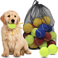Magicorange dog tennis balls 20 pack front view