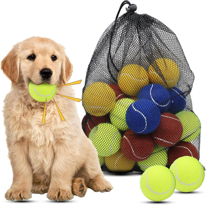 Magicorange dog tennis balls 20 pack front view