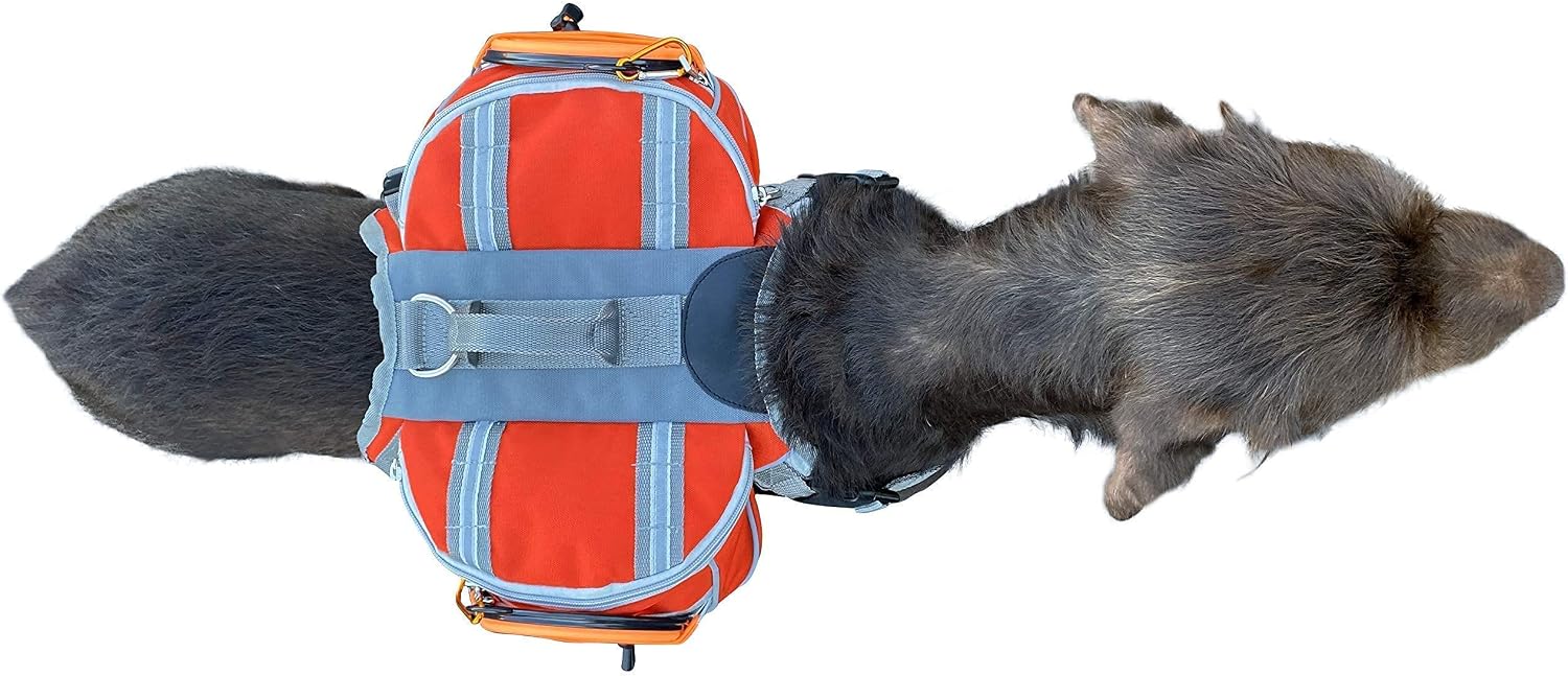 Back angle view of the Zor-DOG outdoor dog saddlebag showing elastic string gear holders