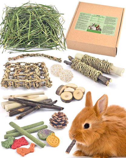 Assorted rabbit enrichment toys displayed openly to showcase textures