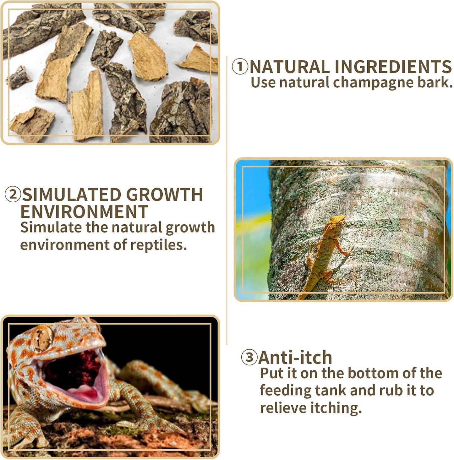 Fhiny 2 piece cork bark set for bearded dragon habitat