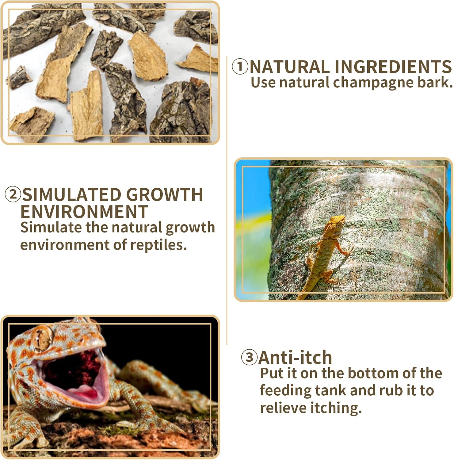 Fhiny 2 piece cork bark set for bearded dragon habitat