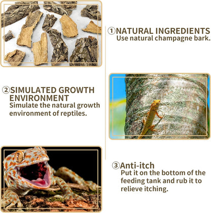 Fhiny 2 piece cork bark set for bearded dragon habitat