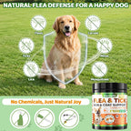 Five hundred count bottle of Supa Paws oral flea supplement for all breeds.