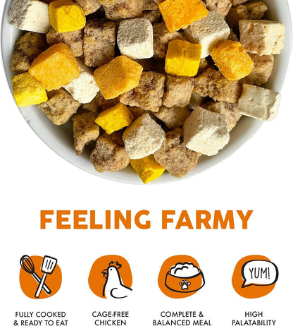 Weruva freeze dried chicken and pumpkin dog food kibble texture