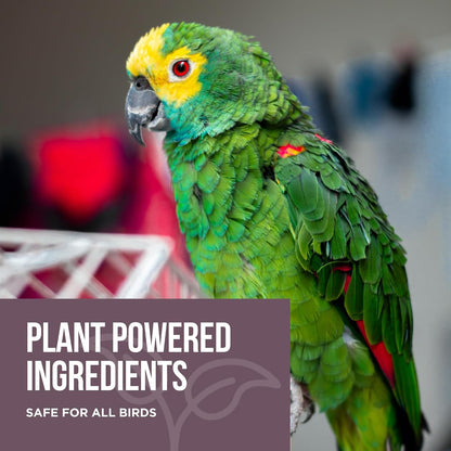 Plant based bird poop remover spray bottle for cages