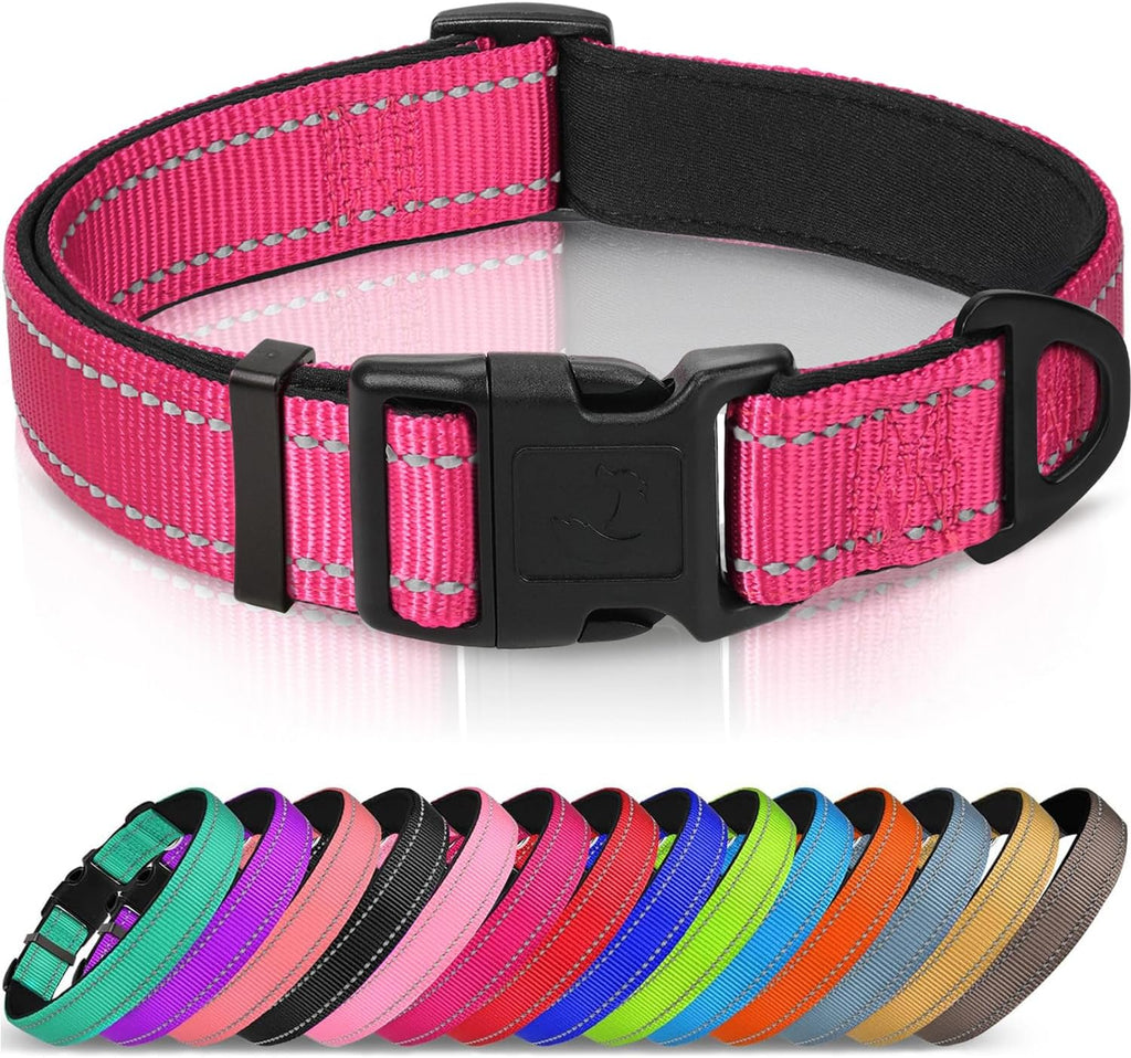 Joytale Reflective Dog Collar, Soft Neoprene Padded, Metal D-Ring, Nylon Pet Collar Adjustable for Large Dogs, Teal, L - Image 9