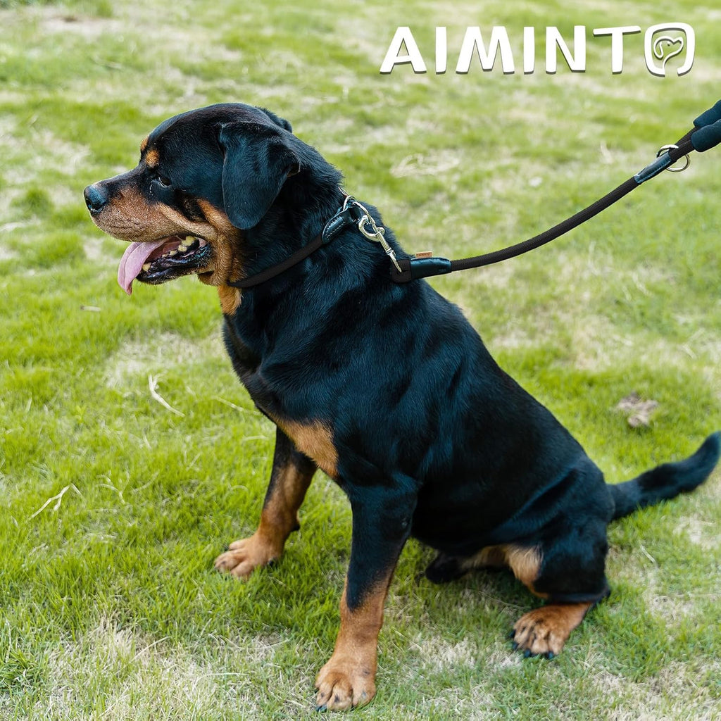 Six feet long black braided dog leash demonstrating the half inch thickness and secure build.