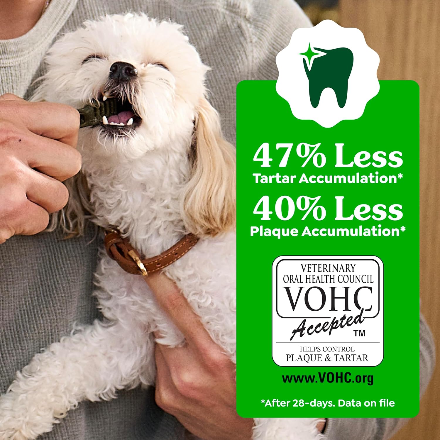 Greenies Veterinarian-Recommended Adult Natural Dental Dog Treats Regular Size, Dog Dental Chews, Original Flavor, 36 oz. Pack, 36 Count - Image 6