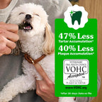 Greenies veterinarian recommended natural dog chews close up