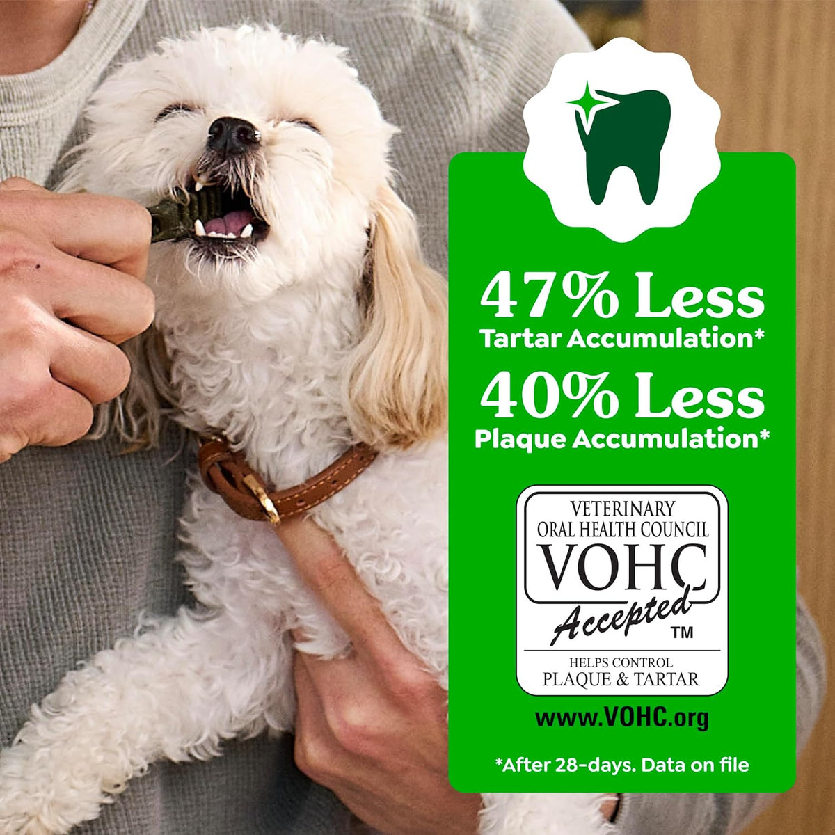 Greenies veterinarian recommended natural dog chews close up