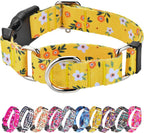 Hikiko Martingale Collar for Dogs Soft Durable Dog Collar for Small Medium Large Boy and Male Dogs No Pull No Slip Safety Buckle Dog Collars (Hill,Medium) - Image 11