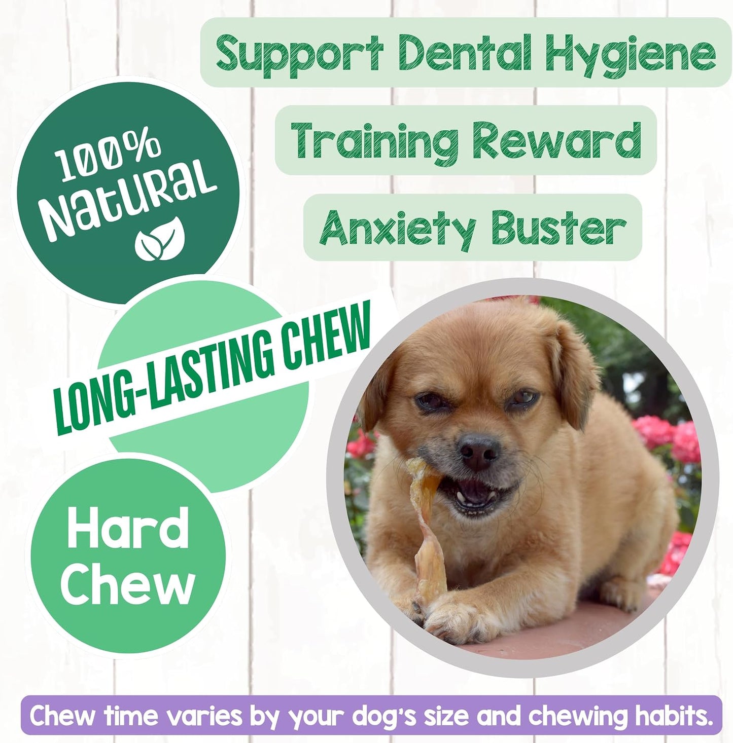 Nature Gnaws Beef Tendons Dog Chews rawhide free single ingredient jerky bones