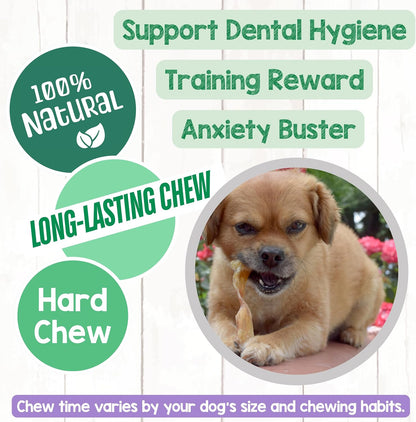 Nature Gnaws Beef Tendons Dog Chews rawhide free single ingredient jerky bones