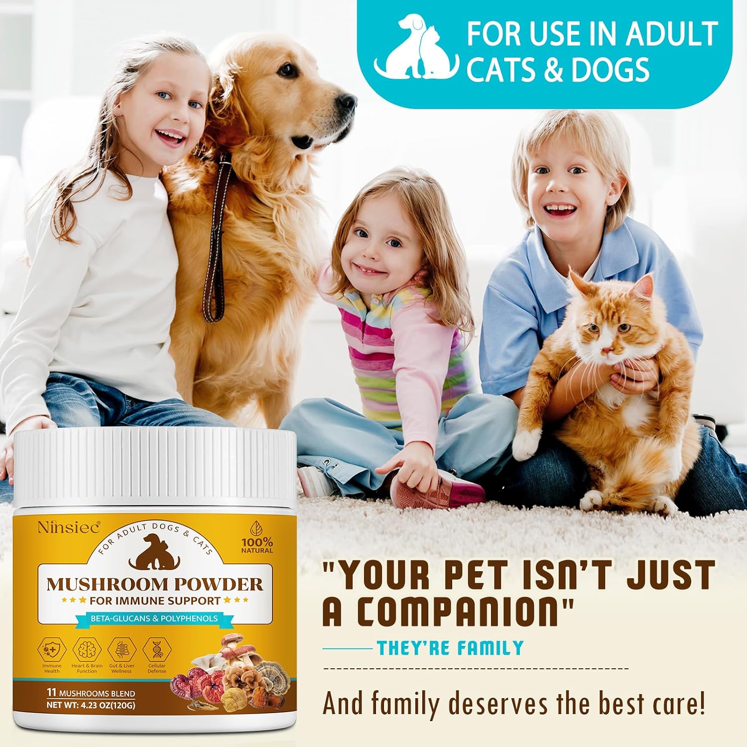 Ninsiec wellness powder for adult dogs showing secure seal and packaging details.