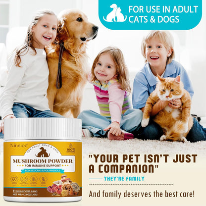 Ninsiec wellness powder for adult dogs showing secure seal and packaging details.
