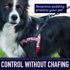 Adjustable straps on Leash Boss small dog harness