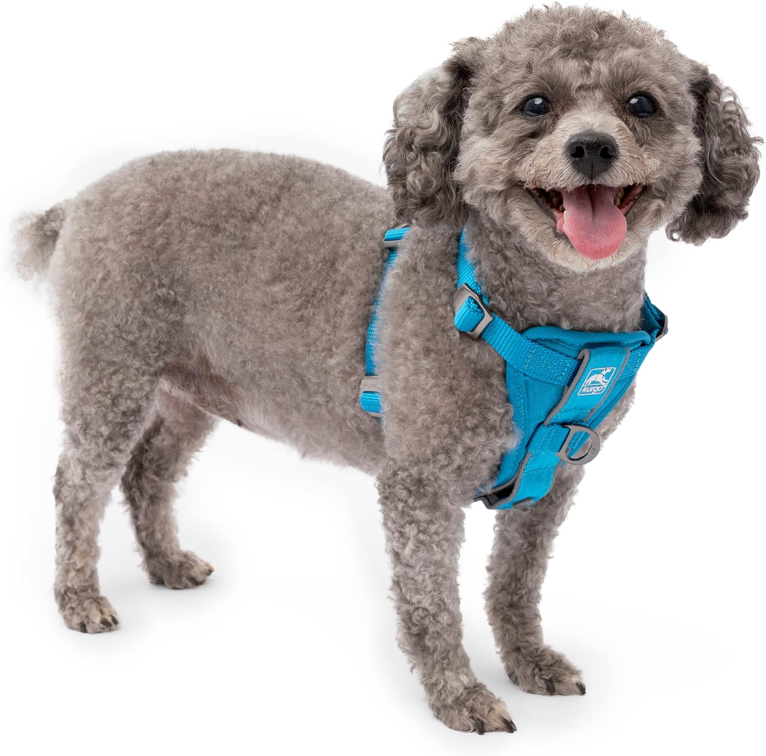 Kurgo Tru-Fit Smart Dog Walking Harness - Comfortable Fit - Adjustable Harness - Reflective Pet Wear - Quick Strap Release - Daily Walk Accessory - Includes Seat Belt Loop - Black - Large - Image 14
