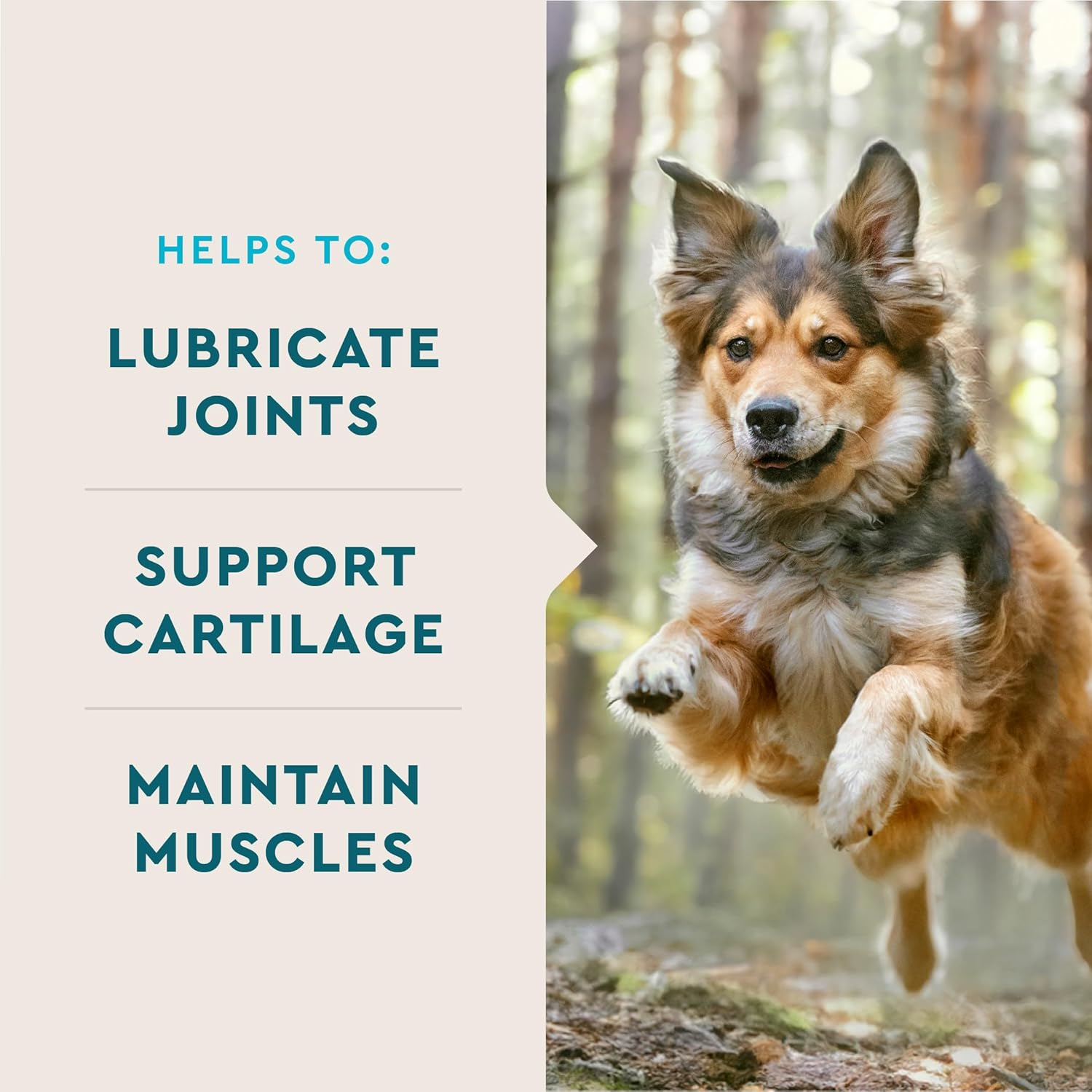 VetIQ dog joint supplement packaging showing ingredients and standard strength details