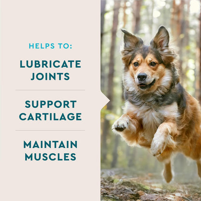 VetIQ dog joint supplement packaging showing ingredients and standard strength details