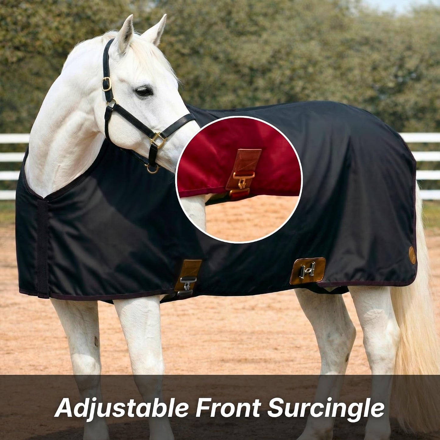 Back view showing the secure tail coverage and rear straps of the stable sheet.
