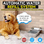 Self-filling pet waterer attached to a garden hose in a backyard