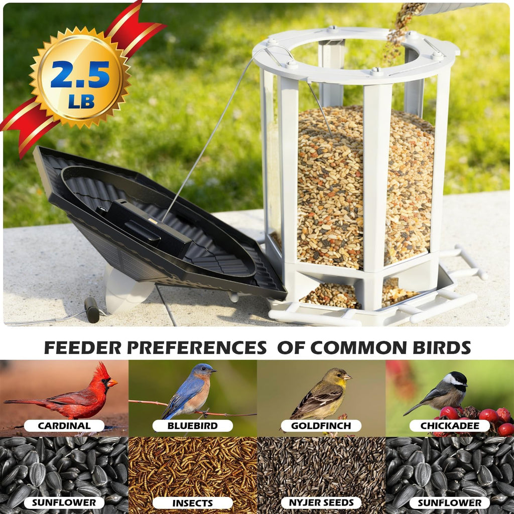 Birdream solar bird feeder hanging outdoors in a lush garden setting