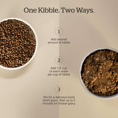 Now Fresh Good Gravy grain-free salmon cat kibble details