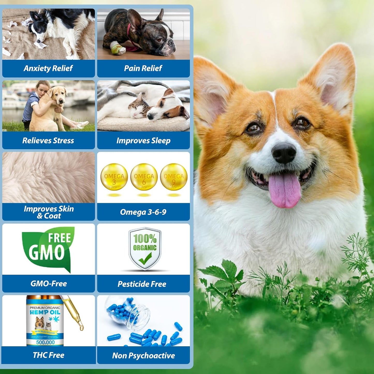 Premium organic hemp seed oil for canine mobility support and feline stress management