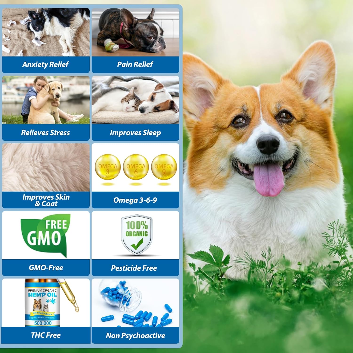 Premium organic hemp seed oil for canine mobility support and feline stress management