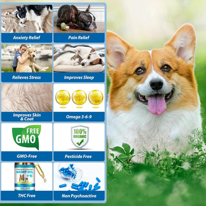 Premium organic hemp seed oil for canine mobility support and feline stress management