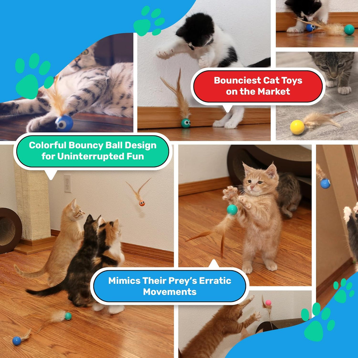 Indoor cat playing enthusiastically with Bouncy Tails feather toy.