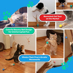 Bouncy Tails bouncy ball toy for kittens and indoor cats