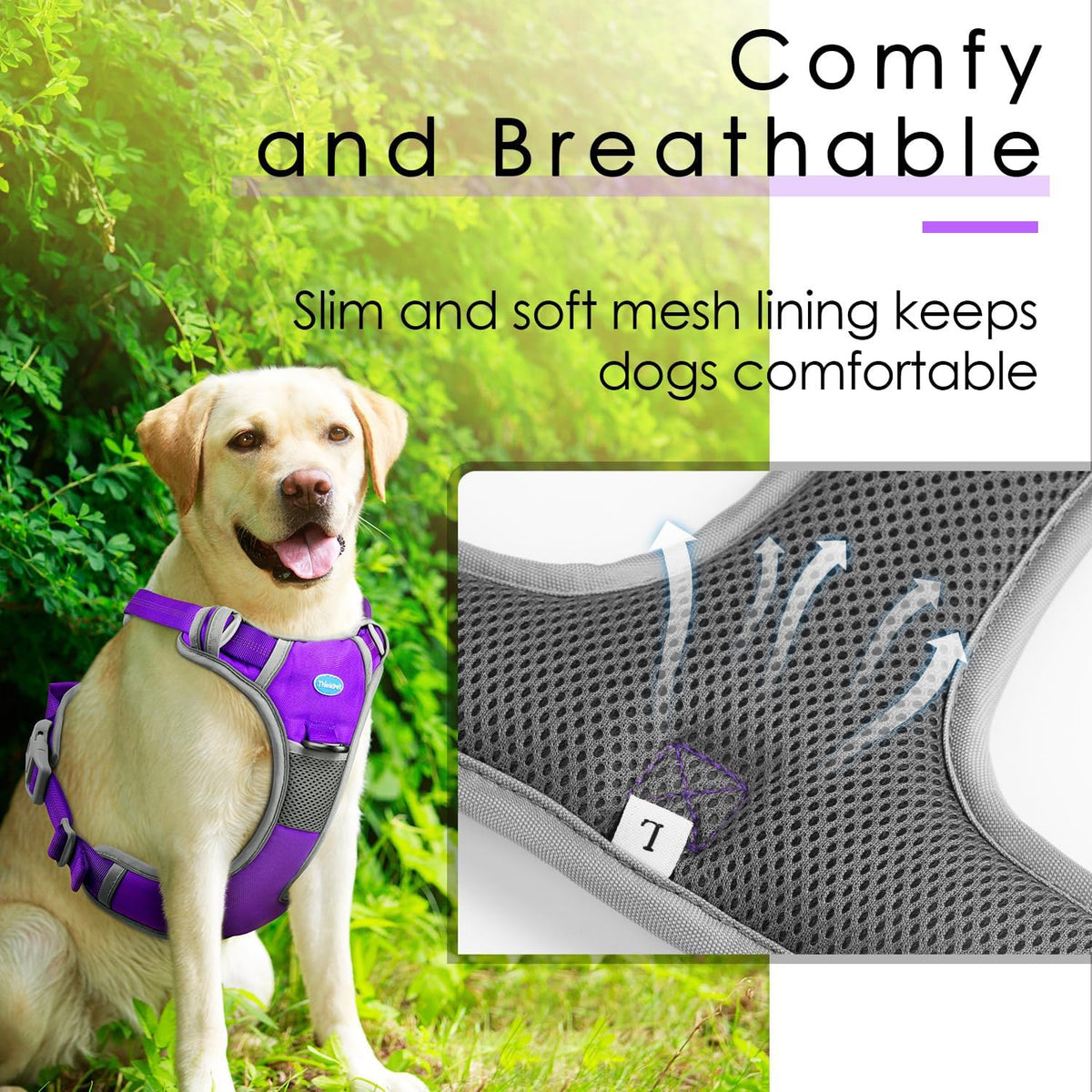 Close up of reinforced handle on ThinkPet no pull harness
