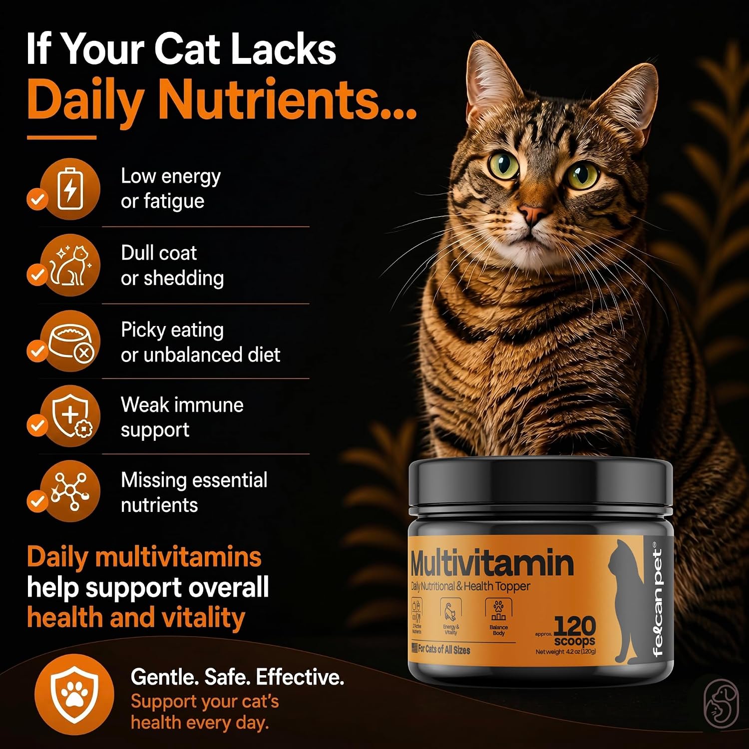 Felcan Pet cat multivitamin powder container showing 17 active nutrients label