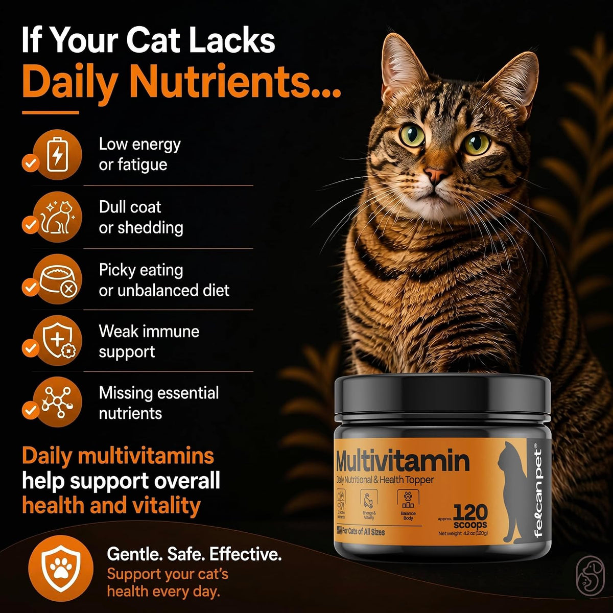 Felcan Pet cat multivitamin powder container showing 17 active nutrients label