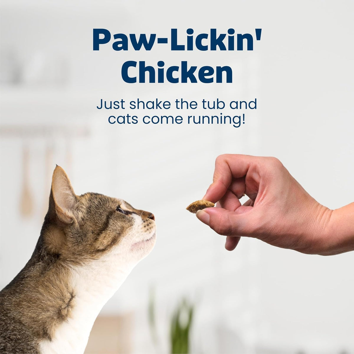 Blue Buffalo crunchy and creamy chicken cat treats tub