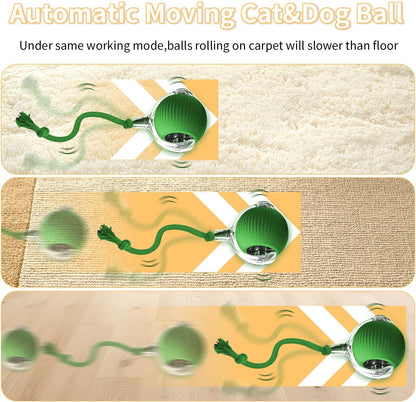 Mtlsttbd automatic self-rolling pet ball top view illustrating the compact 7.62 centimeter size.